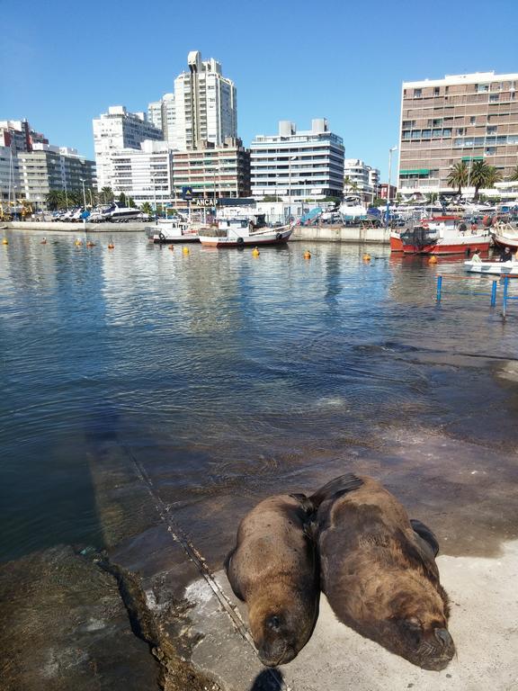 Edificio Canal Azul Punta del Este Exterior foto